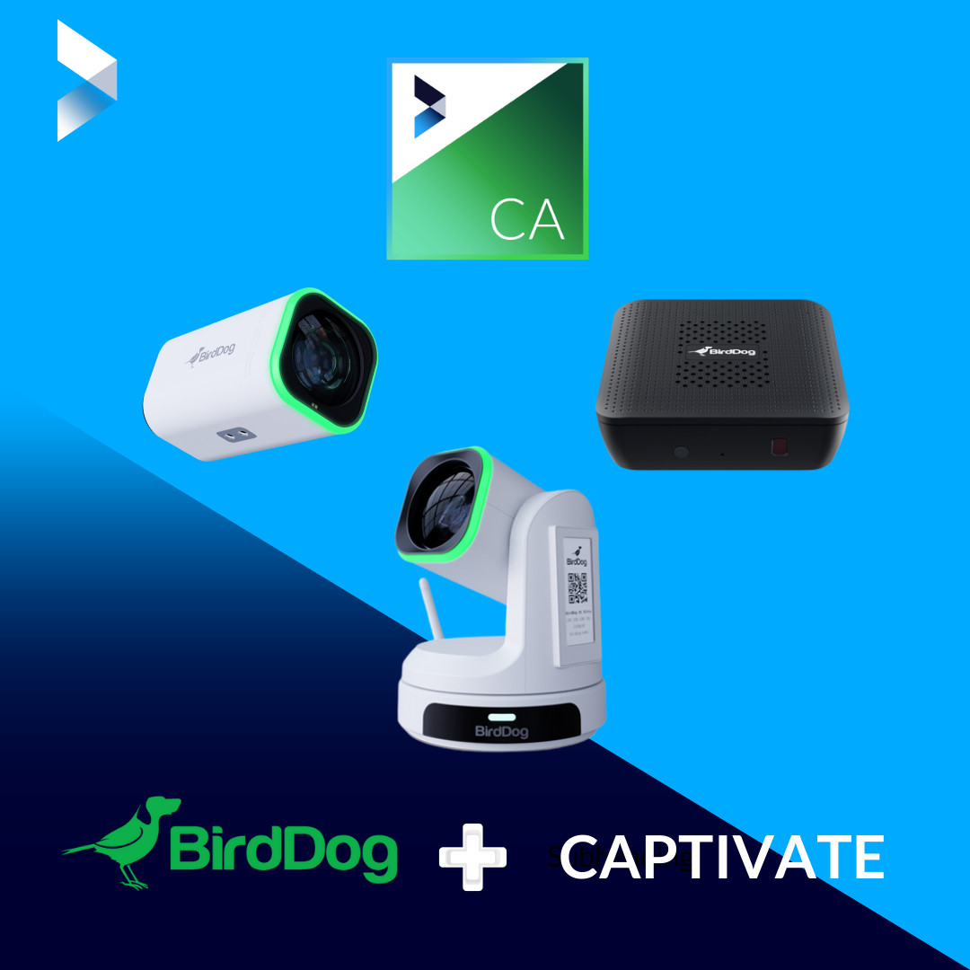 How BirdDog Powered NewBlue’s Seamless Demo Experience at NAB - NewBlue